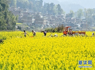 文化和旅游部：“五一”假期游客應配合做好疫情防控工作