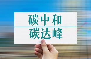 中行行長劉金：碳達峰、碳中和 一場深刻的綠色工業(yè)革命