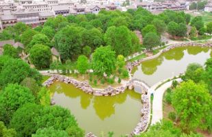 野生動植物和古樹名木“揭榜掛帥”項(xiàng)目開展中期評估