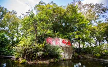 國家公園生態(tài)系統(tǒng)質(zhì)量穩(wěn)步提升 旗艦物種數(shù)量持續(xù)增長