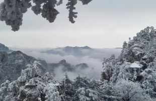 河南西峽太平鎮(zhèn)：好生態(tài)帶熱鄉(xiāng)村游